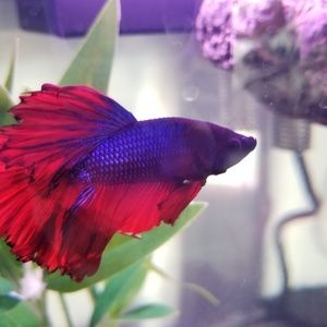 Meet your Posher, Katelyn